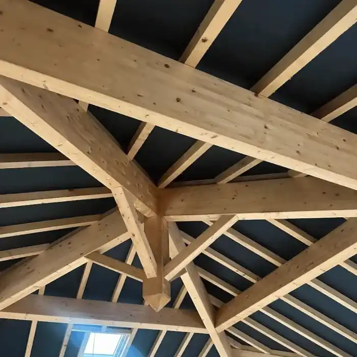 Entretien, rénovation et traitement de charpente à Digne les Bains