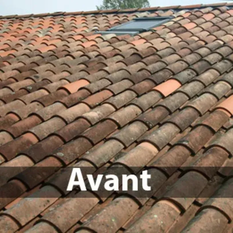 avant le démoussage d'un toit dans les hautes alpes